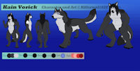 Kain Vorick Character Sheet by Killerwolf1020 - wolf, male, canine, demon, werewolf, character, sheet, demonic, kain, vorick