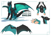 Shiloh Ref by Shicho - dragon, male, feral, western, ref, reference, western dragon