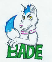 Ac '08 con badge by CognacFox - wolf, male, artwork (traditional)