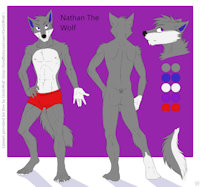 Nathan's new ref sheet by TicklishWolf - butt, wolf, male, reference sheet, canine, muscled, ref, ref sheet, reference, abs, refsheet, referencesheet, anthro wolf, male wolf, anthrowolf, malewolf