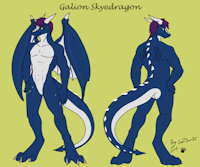 Galion ref sheet by Galionskyedragon - dragon, male