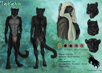 Takahn Mossclaw Character Sheet by Tikkity - male, panther, character sheet, fantasy