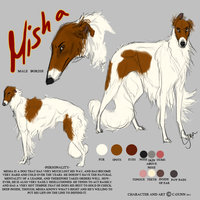 Misha by LostWolfSpirit - dog, red, male, canine, feral, model, character, sheet, scare, russian, reference, quad, quadruped, borzoi, arachnid, wolfhound, misha, russian wolfhound, red scare, lostwolfspirit, minnowfish