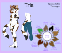 Ref Sheet: Tris by Dae by Trisity - girl, female, ref, calico