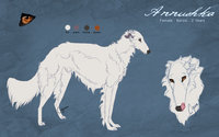 Annushka Reference by LostWolfSpirit - dog, red, comic, female, canine, feral, model, character, sheet, scare, russian, reference, quad, quadruped, borzoi, headshot, arachnid, wolfhound, russian wolfhound, red scare, annushka, lostwolfspirit, minnowfish