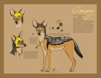 Canary Reference by LostWolfSpirit - female, jackal, canine, feral, black, model, character, sheet, reference, quad, quadruped, thief, arachnid, canary, backed, lostwolfspirit, minnowfish, black backed jackal
