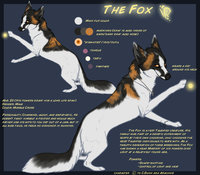 The Fox Reference by LostWolfSpirit - fox, male, cross, canine, feral, model, character, sheet, reference, quad, quadruped, marble, shapeshifter, arachnid, lostwolfspirit, minnowfish, the fox, handsome devil