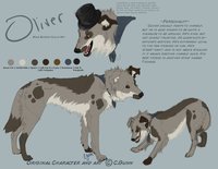 Oliver Reference by LostWolfSpirit - dog, male, mix, border collie, canine, feral, model, character, sheet, collie, mutt, oliver, reference, border, quad, quadruped, dapper, mixed breed, arachnid, breed, top hat, mixed, lostwolfspirit, minnowfish