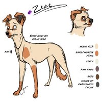 Zeke Reference by LostWolfSpirit - dog, male, canine, feral, model, character, sheet, mutt, reference, quad, quadruped, mixed breed, arachnid, breed, mixed, jack russell terrier, lostwolfspirit, minnowfish, whippet