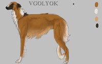 Vgolyok Reference by LostWolfSpirit - dog, red, male, canine, feral, model, character, sheet, scare, russian, reference, quad, quadruped, borzoi, arachnid, wolfhound, russian wolfhound, red scare, lostwolfspirit, minnowfish, vgolyok