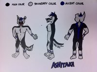 Ashitaka's Character/Reference Sheet by AshiWolf - wolf, male, blue, black, grey, character, sheet, reference