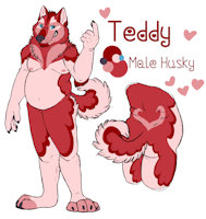 Teddy Husky by honeypup - husky, male, reference, teddy