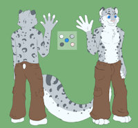 Fleury Reference by JherekFox - snow leopard, male, snowleopard, snowmeow