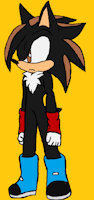 Shoku Dragon the hedgehog Reference by KurisuTJ - male, hedgehog, sonic the hedgehog, sonic fanon characters, sonic oc