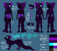 Crystal Reference 2016 by CrystalWolfDarkness - female, wolf, hybrid, reference sheet, snow-leopard