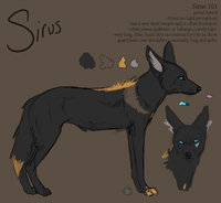 Sirus Growed Up by LostWolfSpirit - wolf, male, mix, hybrid, jackal, canine, feral, model, character, sheet, reference, quad, quadruped, arachnid, sirus, lostwolfspirit, minnowfish, wolfackal