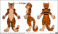 Character reference sheet by RubberAnimations - male, tiger, rubber, sheet, reference, tomboz