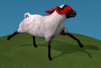 Sheep Ninja by Oddwarg
