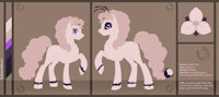 Violet Echo - pony by VioletEchoes - female, character sheet, pony, my little pony, solo female