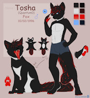 Full reference by Quantum0 - fox, boy, male, pants, reference sheet, paw, man, anthro, feral, furry, colors, character, ref, vupline, canid, fursona, ref sheet, reference, maw, refsheet, censored, vulpes, male solo, quantum, vulpes vulpes, tosha, quantum0