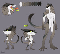 My sergal <3 by Quantum0 - male, reference sheet, character sheet, character, ref, ref sheet, reference, sergal, refsheet, referance, character reference, charactersheet, ref-sheet, referencesheet, character ref, reff, character design