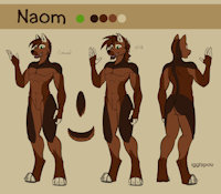 Naom - Sheet by igglypou - male, wolfdog
