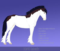 HNS Isleifr by hikaruko - male, horse, splash, baroque, bay, stable, norwegian warhorse, horsefeathers, harpg
