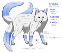 Commission 4- Amaskia by CatwingFluffypaw - female, feral, vixen, refsheet, artic fox