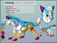 Kira D. Woof Ref. by xkillerwolf - wolf, ref, sheets, transgender