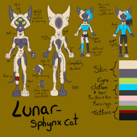 Lunar the Sphynx Cat - Reference sheet by CrystalWolfDarkness - cat, female, piercings, sheet, tattoos, reference, hairless, sphynx