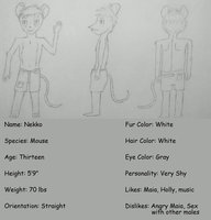 Nekko's Character Sheet by NekoNire - boy, male, mouse, character sheet, nekko