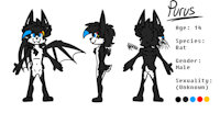 Purus (Updated Ref Sheet) by DDDAfterDark - cub, male, bat, art, child, young, sheet, ref, ref sheet, update, cbg