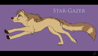 Star-Gazer Harrowet Reference Sheet by StarWuff - female, harrowet, wolf cheetah hyrbid