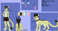 Xander Reference Sheet (Old) by XanderGreene - feline, cougar, male, underwear, anthro, feral, spots, collar, stripes, dog tags, reference, big cat, puma, black hair, blue eyes, boxer briefs, green fur