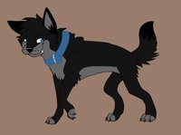 tribalwolf no tatoo by tribalwolf - wolf, feral, male/solo