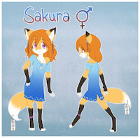 ⚥ Sakura ⚥ Reference! by Floofy - fox, cub, kitsune, teen, reference sheet, herm, hermaphrodite