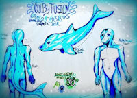 Fusion REF Sheet by Fusion22 - dolphin, dolphins