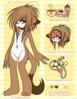 Feno Reference (sonic) by plasticXsurgery - cat, male, reference, femboy, feno, tonkinese