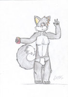 Summer picture'11 by SamzaTheArcticFoxy - male, underwear, grey, smile, peace, arctic fox, happy