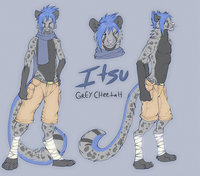 Itsuya Ref commission by Dip - cat, feline, character, sheet, reference, grey cheetah