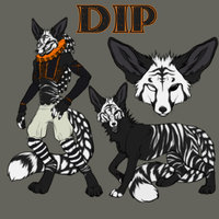 Dip Character Sheet by Dip - tiger, cheetah, crazy, pantomime, fennec fox, dip, rococo