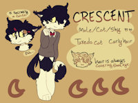 crescent the cat by katidoj - cat, male, sonic fan character, intersex male