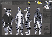 Zhao by VJCoon - dragon, male, inspired, reference sheet, tiger, character sheet, ref, chinese, fursuit, ref sheet, spy, mia, maltese, maltese tiger, espionage, cia, zhao, komikrazi studios, komikrazi, komikrazi fursuit design contest, maltese round nosed horned dragon, zaoh, spy master