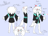 Caroline ref and bio by QuiteSplendid - fox, female, reference sheet, digital, vixen, colors, color, arctic fox, vulpine, character reference, biography, character ref, caroline, bio, character reference sheet, splendid, soulfire, howsplendid, caroline soulfire
