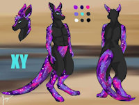 XY SFW Ref Sheet by BigBadWolf96 - male, sheet, ref, galaxy kangaroo