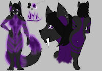 Nyx SFW Ref Sheet by BigBadWolf96 - female, sheet, ref, winner, sfw, raffle, wolf sabertooth hybrid