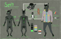 Seth Ref 2017 by SteamRunner - hare, intersex, intersex male, irish mountain hare, western european hare