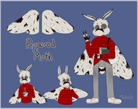 bugsona sheet by shikazoom - male, moth, mothsona, bugsona