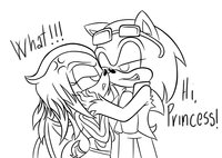 Don't call me PRINCESS by BlueAcquaH2O - bat, hedgehog, femboy, sonic the hedgehog, echidna, malexmale