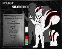 Avalon's Ref Sheet by AvalonShadowcry - male, demon, skunk